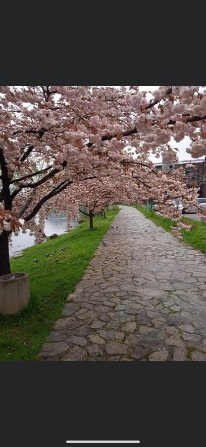Kartal Centar Apartment Bihać Esterno foto