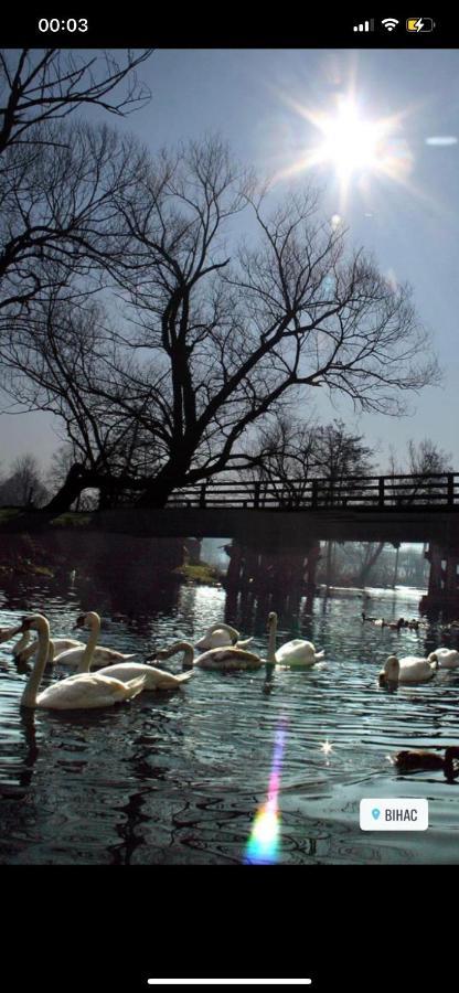 Kartal Centar Apartment Bihać Esterno foto